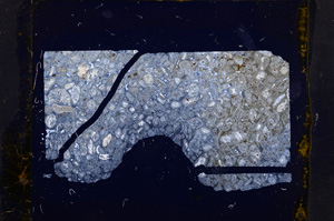 Cross Polarized, E18489