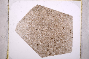 Plane Polarized, E18491