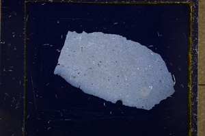 Cross Polarized, E18496