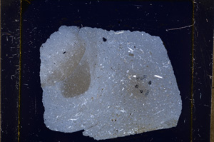 Cross Polarized, E18497