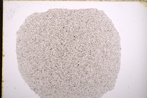 Plane Polarized, E18508