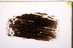 Plane Polarized, E18512