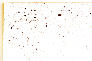 Plane Polarized, E18512/A