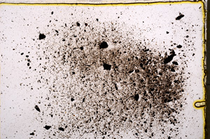 Plane Polarized, E18514/A