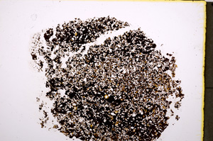 Plane Polarized, E18520