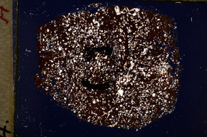 Cross Polarized, E18523