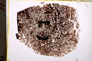 Plane Polarized, E18523