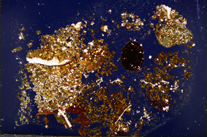 Cross Polarized, E18524