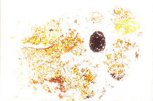 Plane Polarized, E18524