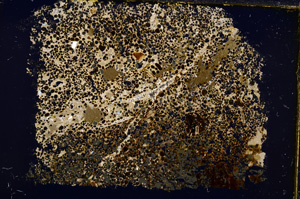 Cross Polarized, E18530