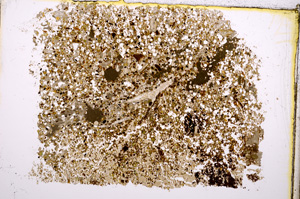 Plane Polarized, E18530