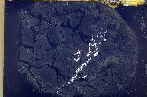 Cross Polarized, E18531/A