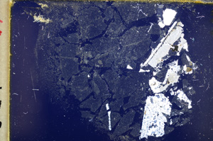 Cross Polarized, E18532