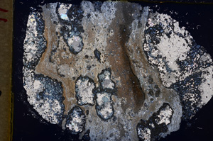 Cross Polarized, E18537