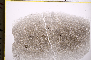 Plane Polarized, E18543