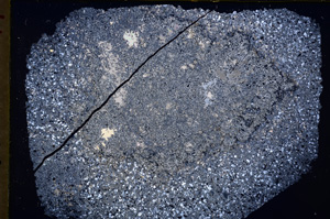 Cross Polarized, E18545