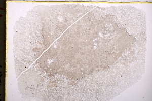 Plane Polarized, E18545