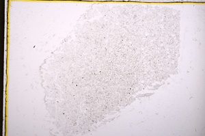 Plane Polarized, E18547