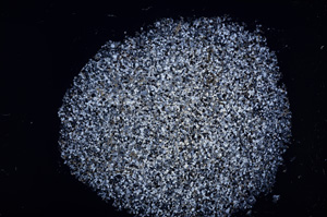 Cross Polarized, E18548