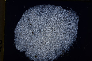 Cross Polarized, E18549