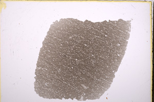 Plane Polarized, E18552