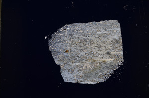 Cross Polarized, E18554