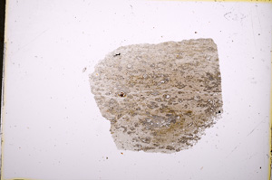 Plane Polarized, E18554