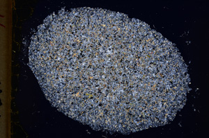 Cross Polarized, E18555