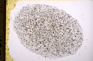 Plane Polarized, E18555