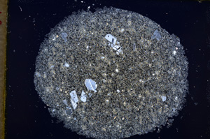 Cross Polarized, E18556