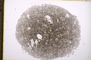 Plane Polarized, E18556