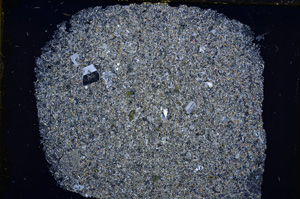 Cross Polarized, E18557