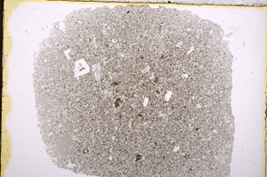 Plane Polarized, E18557