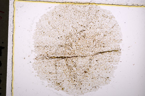 Plane Polarized, E18558