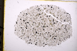 Plane Polarized, E18563