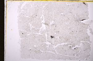 Plane Polarized, E18582