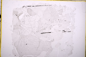 Plane Polarized, E18583