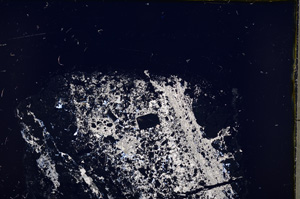 Cross Polarized, E18584