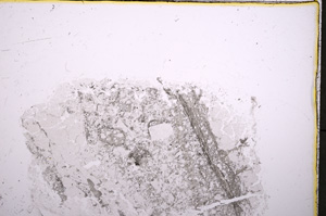 Plane Polarized, E18584