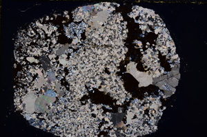 Cross Polarized, E18586