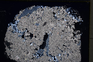 Cross Polarized, E18587