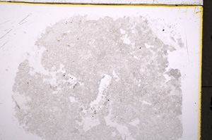 Plane Polarized, E18587