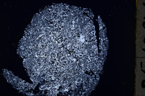 Cross Polarized, E18588