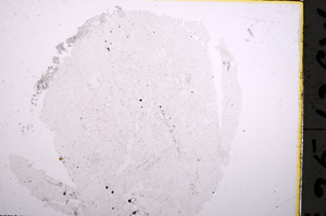 Plane Polarized, E18588