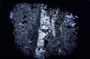 Cross Polarized, E18589