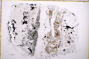 Plane Polarized, E18589