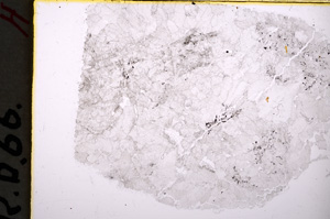 Plane Polarized, E18590