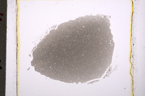 Plane Polarized, E18596