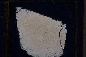 Cross Polarized, E18598