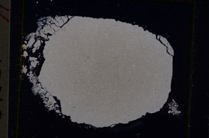 Cross Polarized, E18599